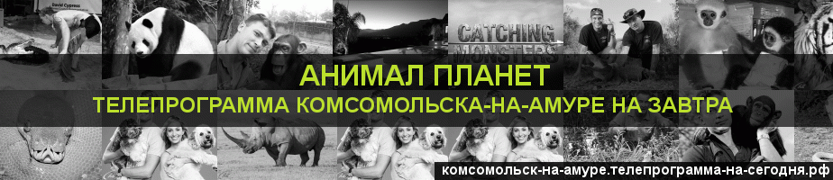 Телепрограмма на завтра канала Анимал Планет, Комсомольск-на-Амуре