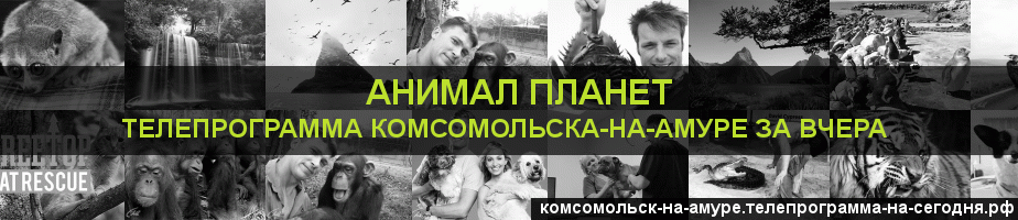 Телепрограмма за вчера канала Анимал Планет, Комсомольск-на-Амуре